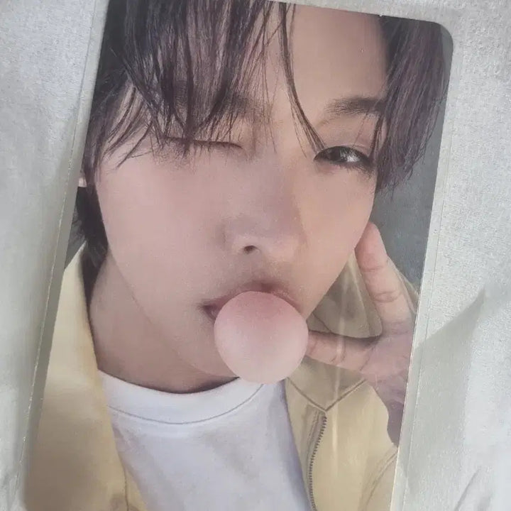 엔시티위시 팝츄 인형 앨범 리쿠 포카 재희 띠부 풀구성