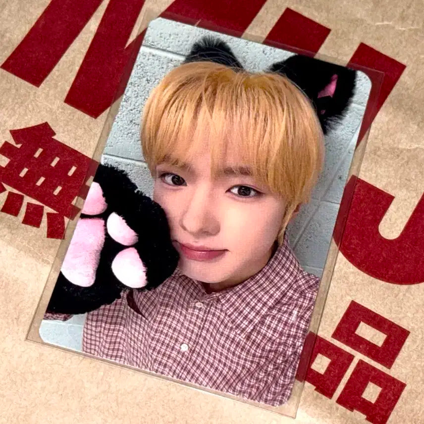 엔시티 위시 인터아시아 사쿠야 포카