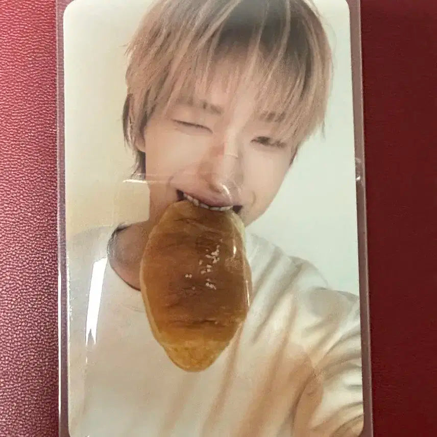 넥스지 beatboxer 토모야 소금빵 공방 포카 nexz