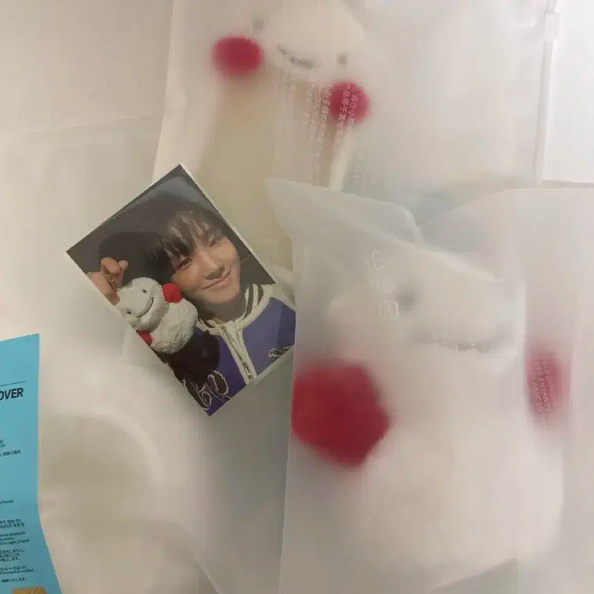 보넥도 운학 운아기 일괄