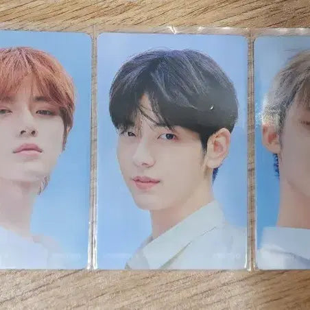 투모로우바이투게더 미니포토 카드,앨범,인형 세트