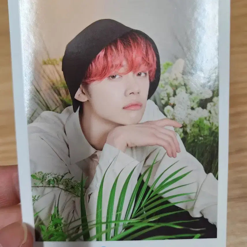 투모로우바이투게더 미니포토 카드,앨범,인형 세트