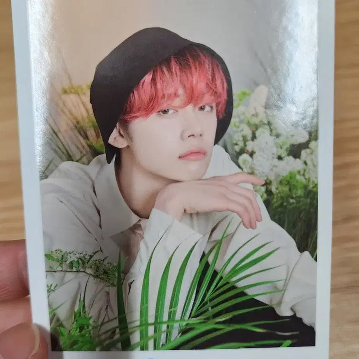 투모로우바이투게더 미니포토 카드,앨범,인형 세트