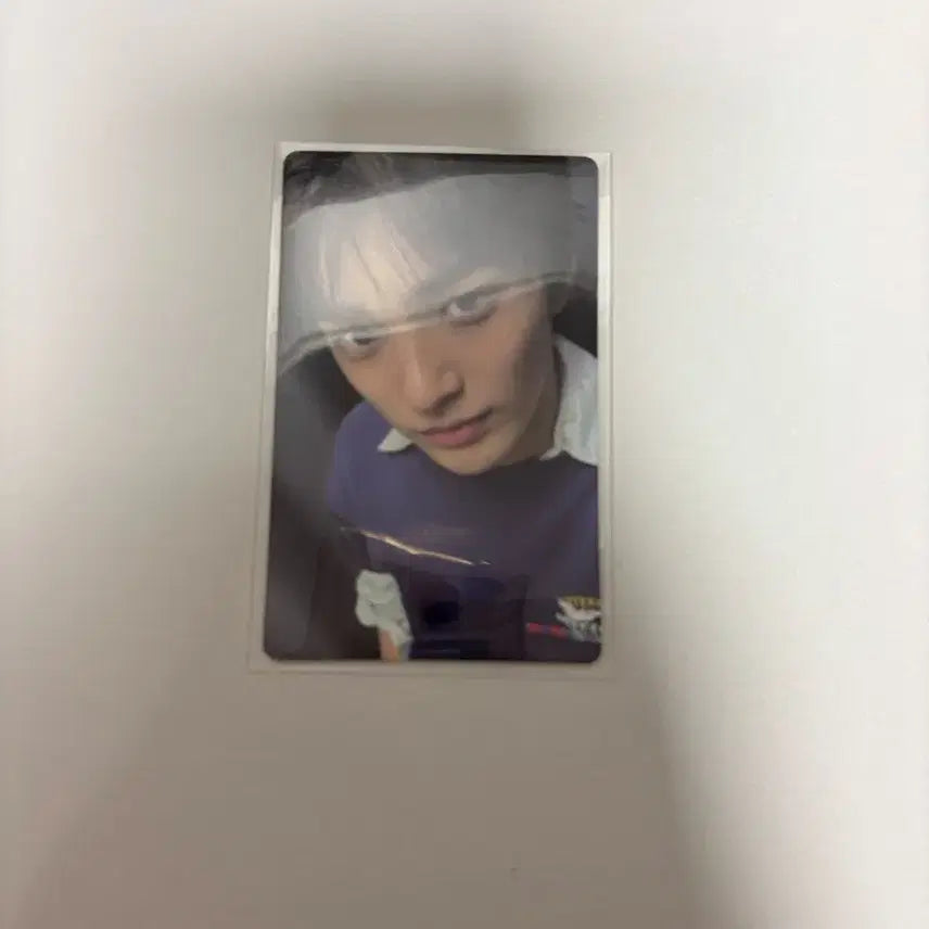 코르티스 안건호 포카 양도