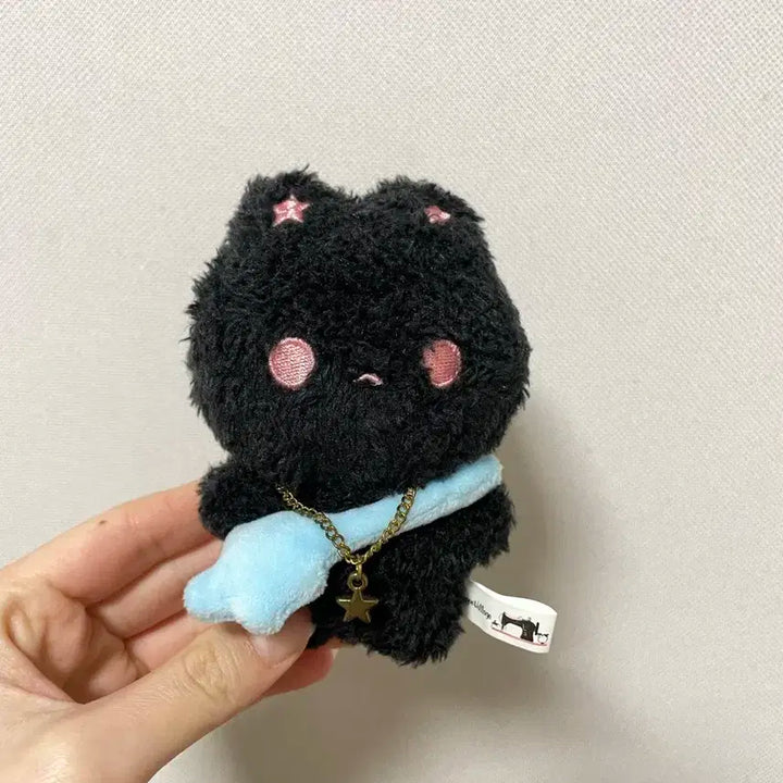 라이즈 비공굿 원빈 삔짱 인형 양도