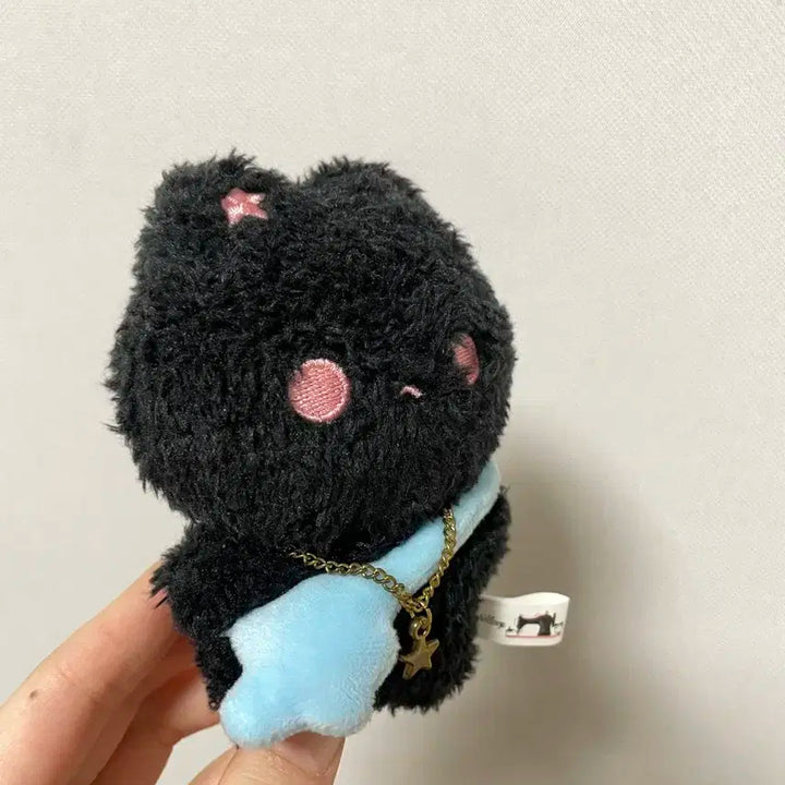 라이즈 비공굿 원빈 삔짱 인형 양도