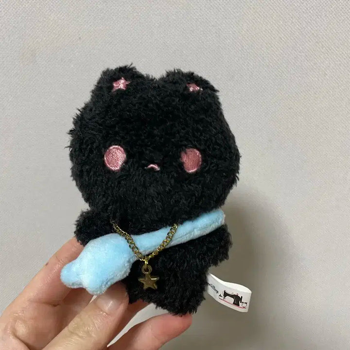 라이즈 비공굿 원빈 삔짱 인형 양도