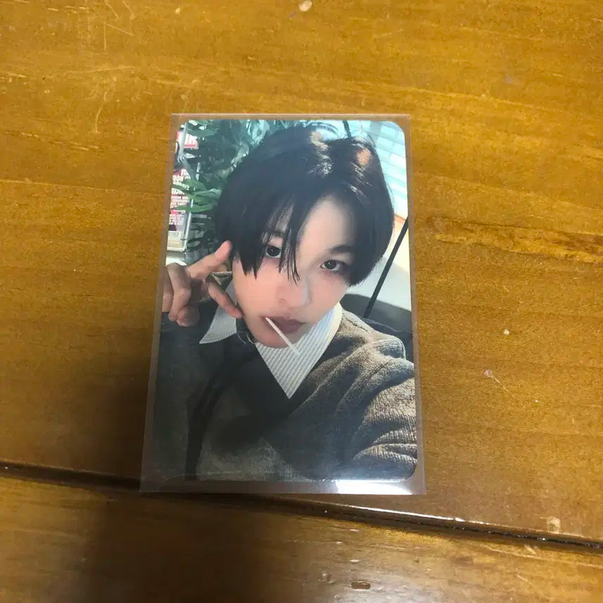 엔시티 위시 엔위시 리쿠 WISH 뮤직코리아 포카 양도 판매