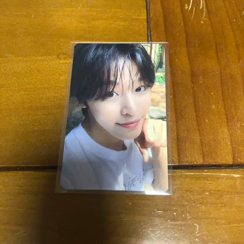 엔시티 위시 엔위시 리쿠 송버드 인터아시아 포카 양도 판매