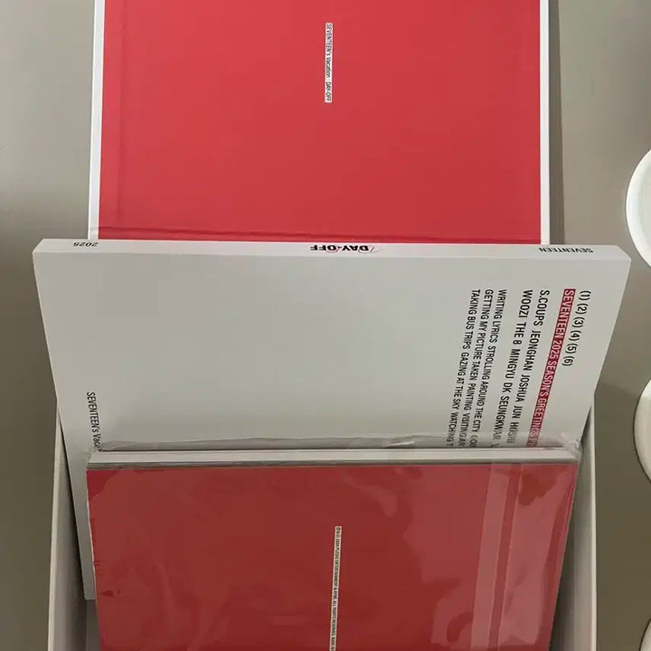 세븐틴 2025 시즌 그리팅