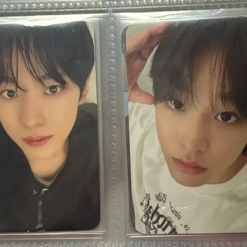 에버위시 입장포카 리쿠 유우시