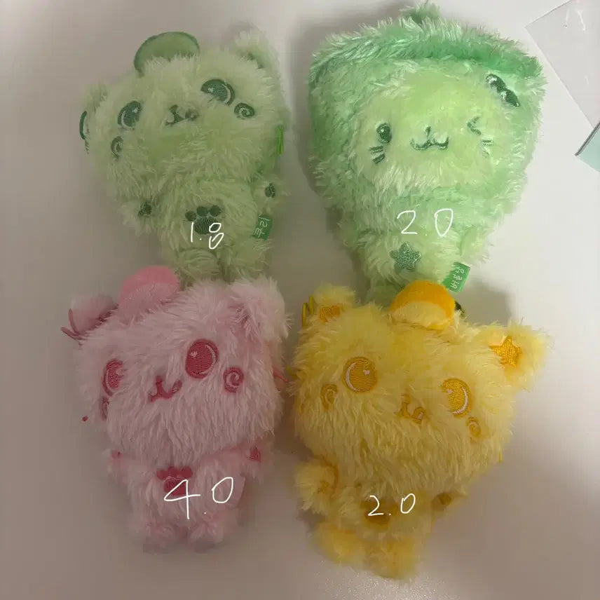 엔시티 위시 컬러 위시돌 쿠리 버블냥 리쿠 유우시