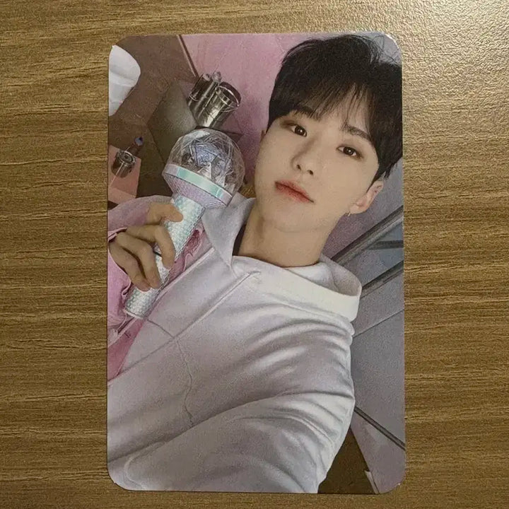 세븐틴 호시 2023 캐럿존 포카