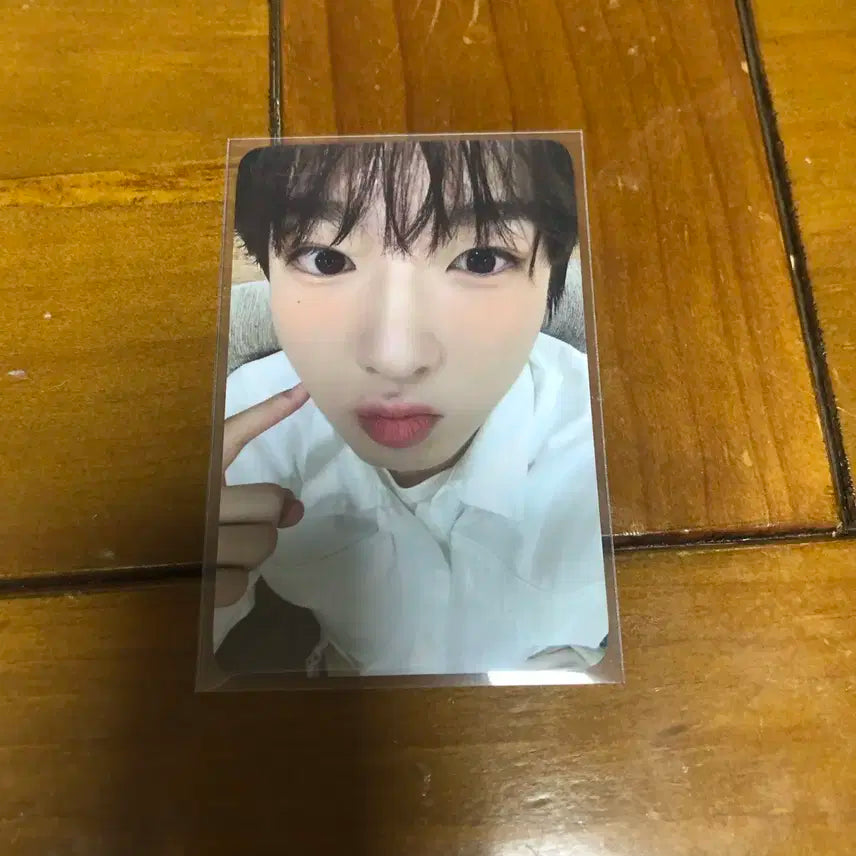 엔시티 위시 엔위시 사쿠야 송버드 위드뮤 팬싸 영통 포카 양도 판매