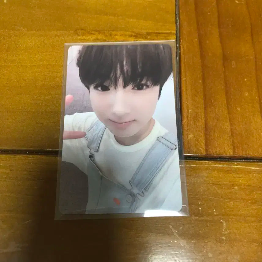 엔시티 위시 엔위시 사쿠야 스테디 kms 럭드 포카 양도 판매