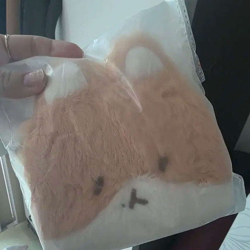 터래기 파우치 양도 새상품 엑소 백현 인형 미개봉