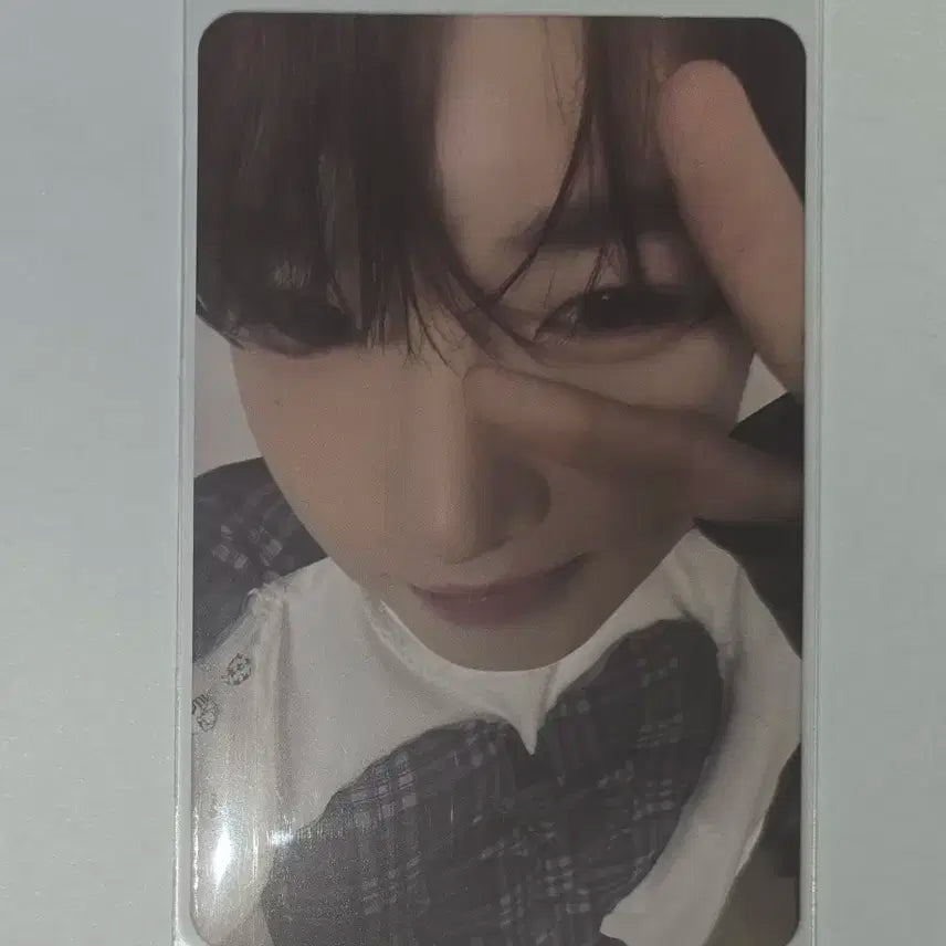 엔시티 위시 사쿠야 케타포 KTOWN4U 포토카드