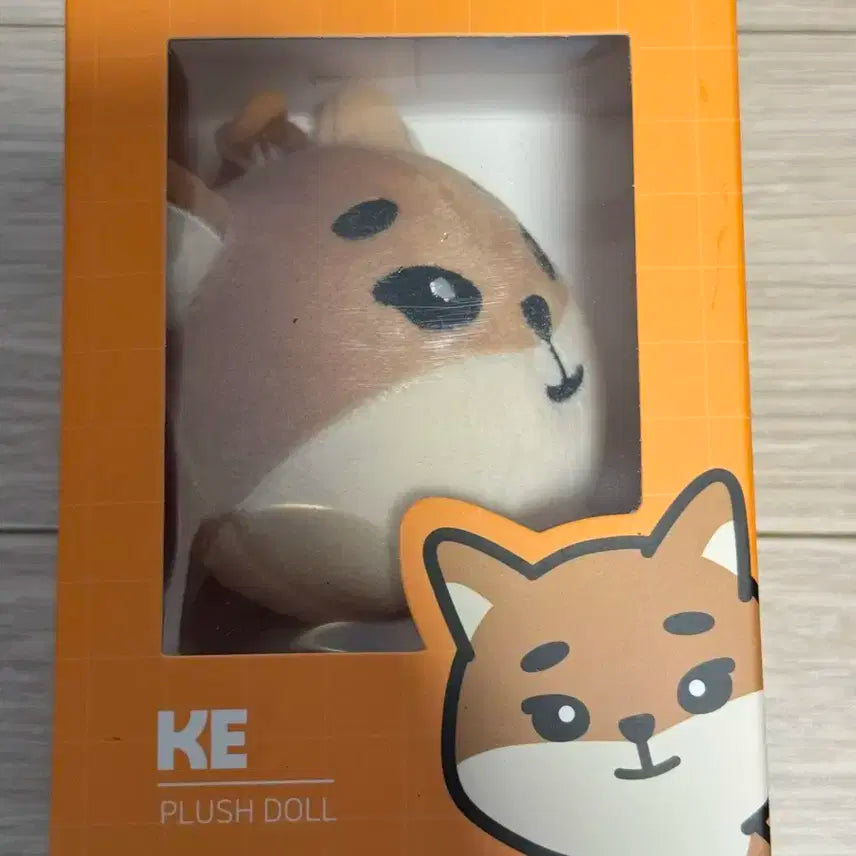 데이식스 데니멀즈 케 2020 미개봉