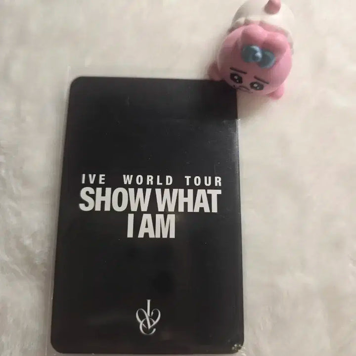 레이 [show what l am]포카팩