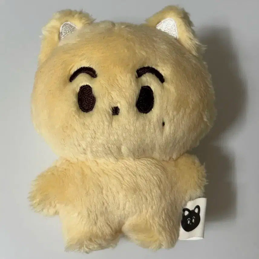 엔시티 마크 인형 치즈애옹냥 양도