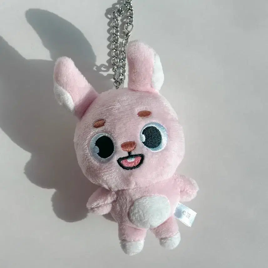 데이식스 원필 일본콘 백참 필ver 양도(개봉)