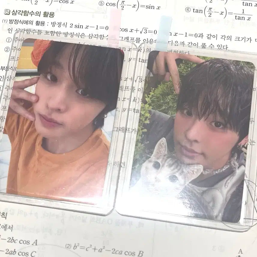 리쿠 찜질방 애플뮤직 미공포 쥬얼 앨포 컬러 럭드 일괄