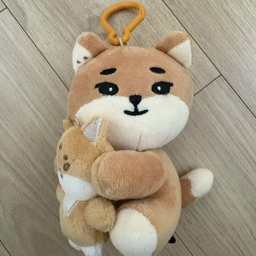 데이식스 마그넷 플러시 세트 나안아 케 인형