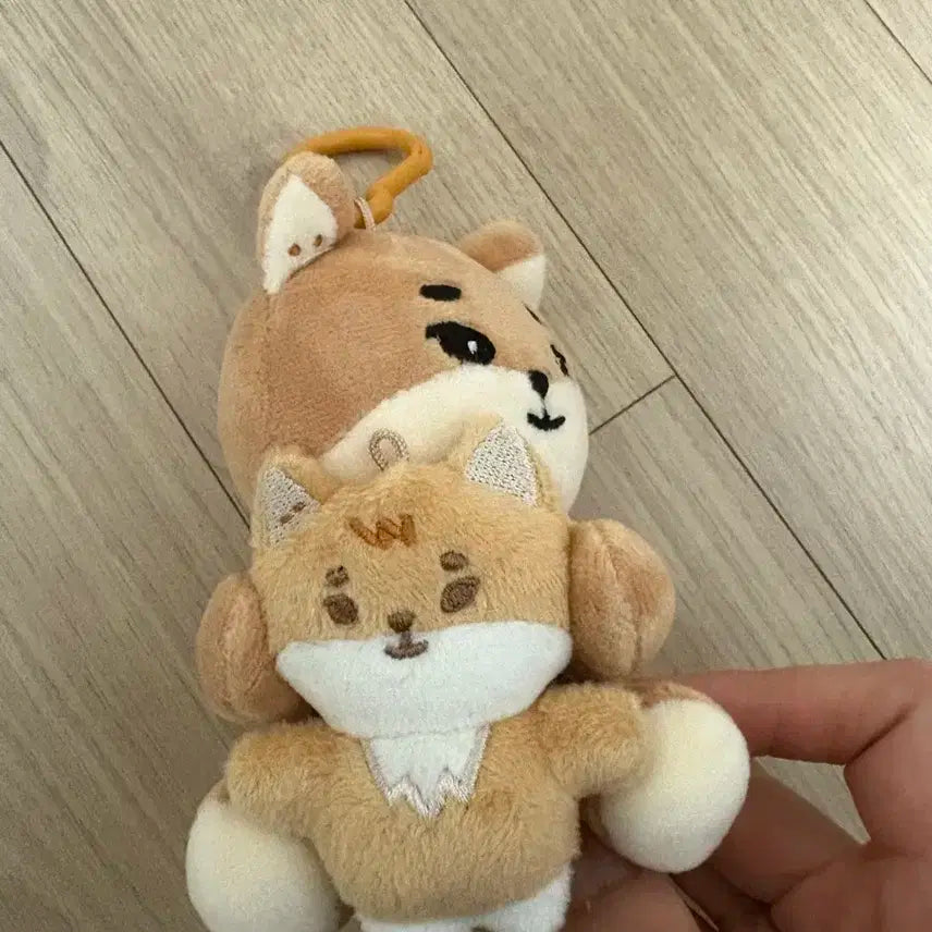 데이식스 마그넷 플러시 세트 나안아 케 인형