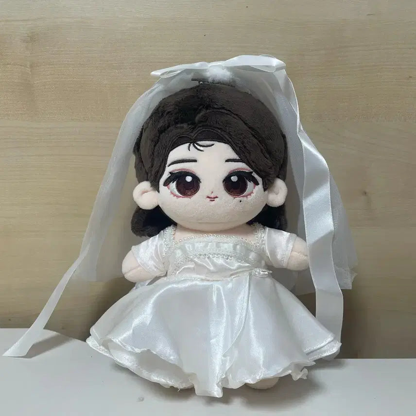 아이유 지혜유 비공굿 인형 봉제인형 +추가 옷 3벌