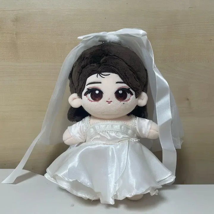 아이유 지혜유 비공굿 인형 봉제인형 +추가 옷 3벌