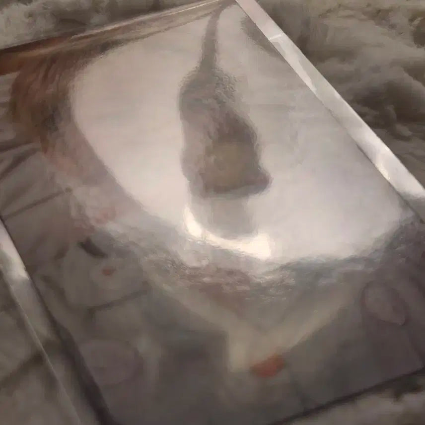 보넥도 디액션 위버스 럭드 운학