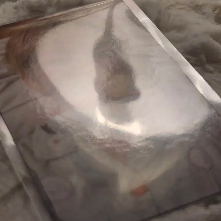 보넥도 디액션 위버스 럭드 운학