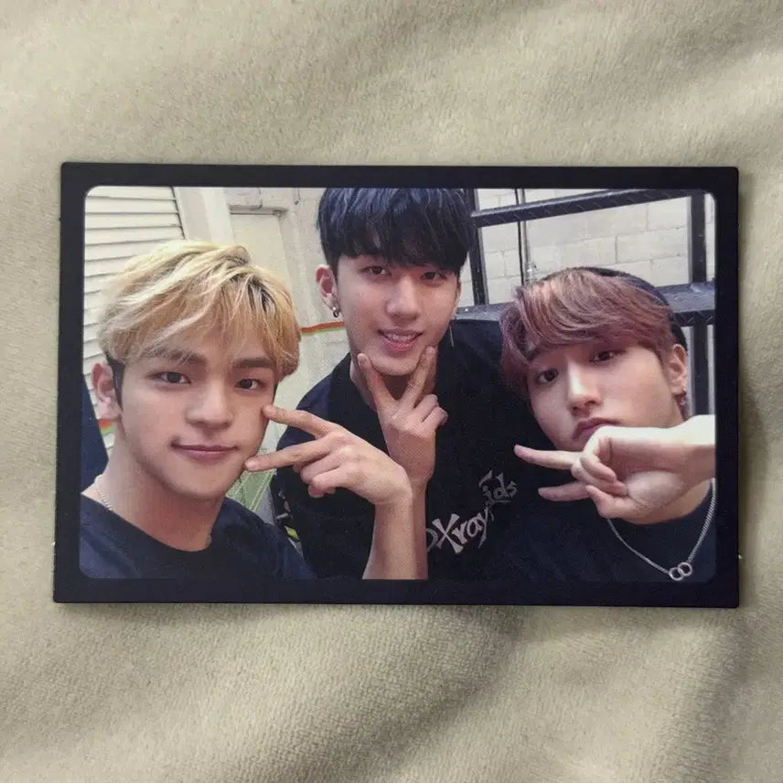 스트레이키즈 아엠낫 창빈 한 한지성 우진 유닛 포토카드 포카
