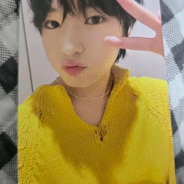 사쿠야 위시 무모샵 포카