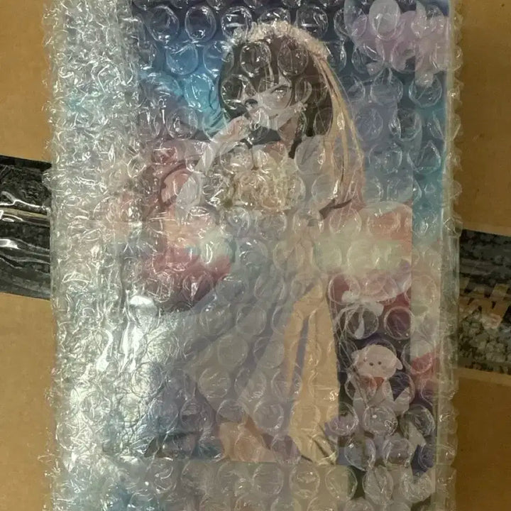 시라유키 히나 생일 풀세트