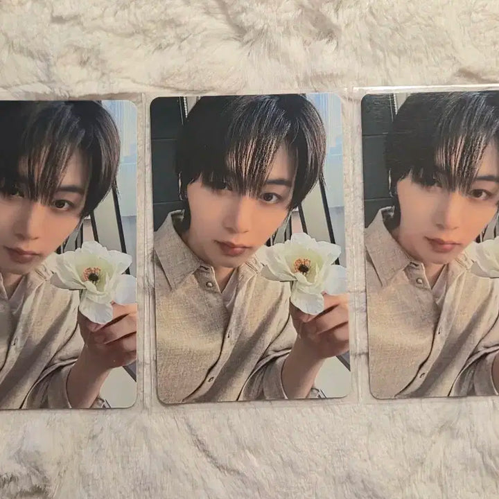 보넥도 디액션 위버스 특전 태산