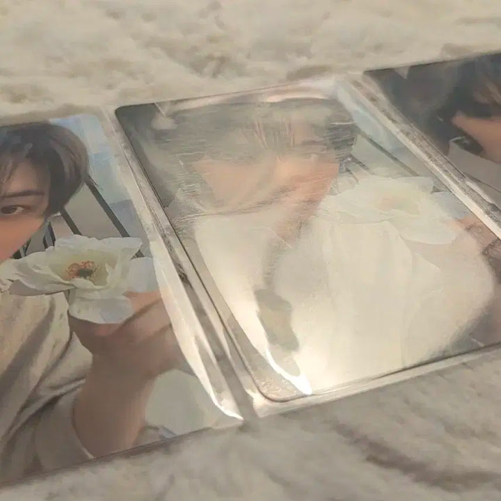 보넥도 디액션 위버스 특전 태산