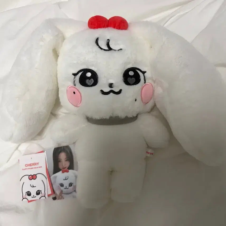 포카포함/아이브 미니브 체리 30cm