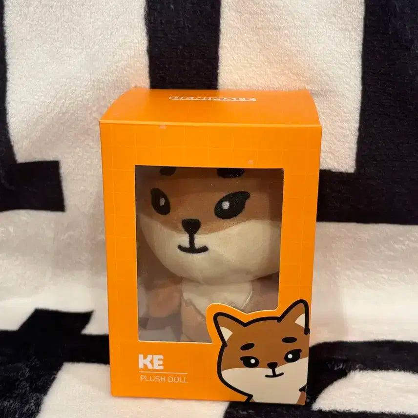 데이식스 데니멀즈 20케 미개봉