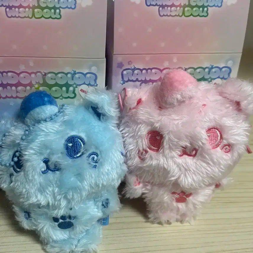 위시돌 쿠리 리쿠 파랑