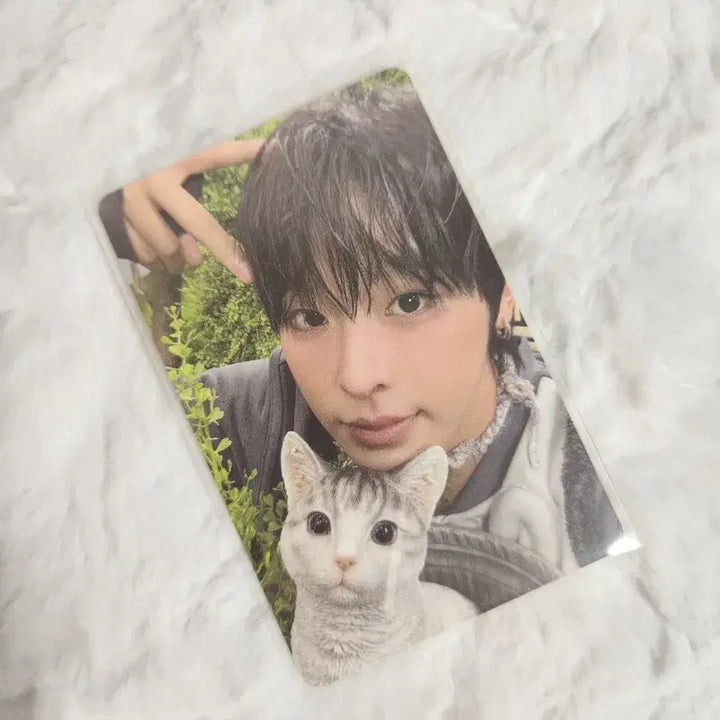 엔시티위시 리쿠 컬러 쥬얼 앨범 포카 판매