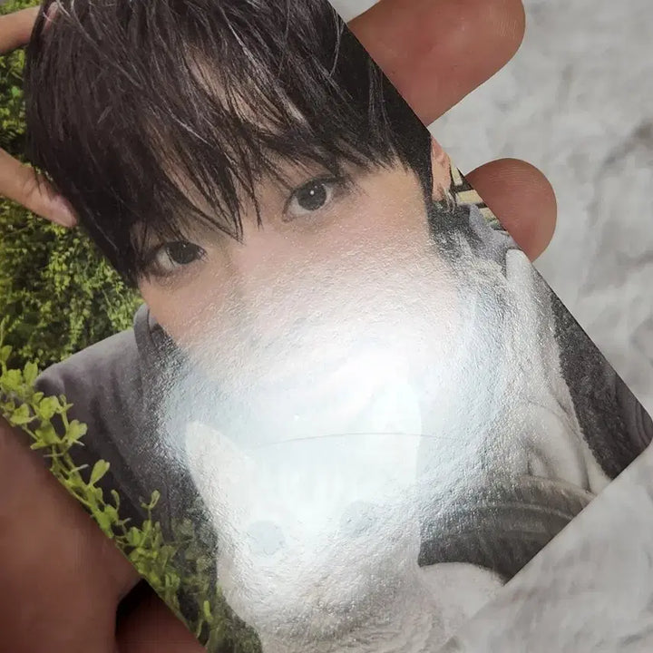 엔시티위시 리쿠 컬러 쥬얼 앨범 포카 판매