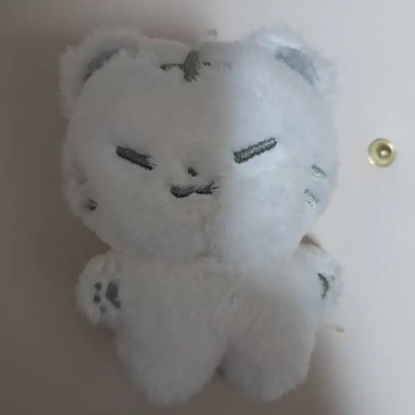 세븐틴 호시 인형 호찌 양도