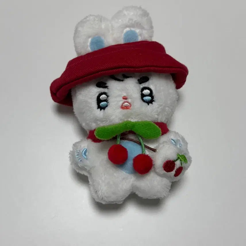 세븐틴 에스쿱스 인형 쿱니니 풀세트