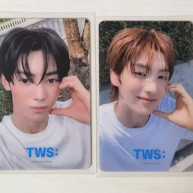 TWS Weverse Shop 포토카드 세트