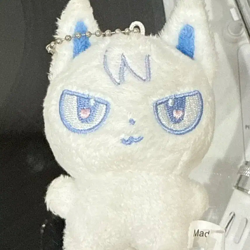 니콜라스 특별한 코냥쭈멍 인형