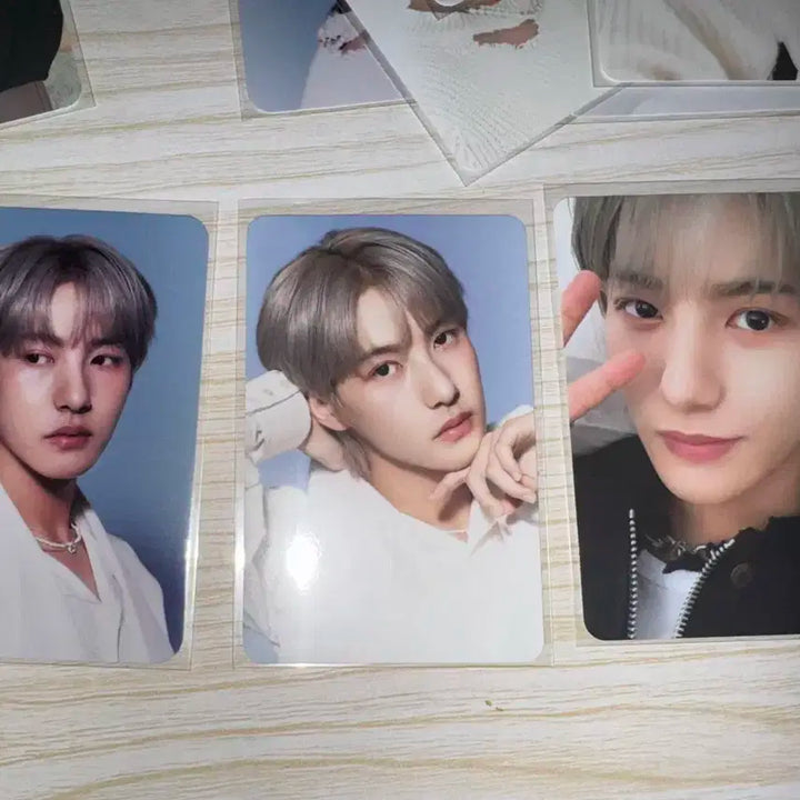 엔시티 드림 2024 시그 포카 전멤버