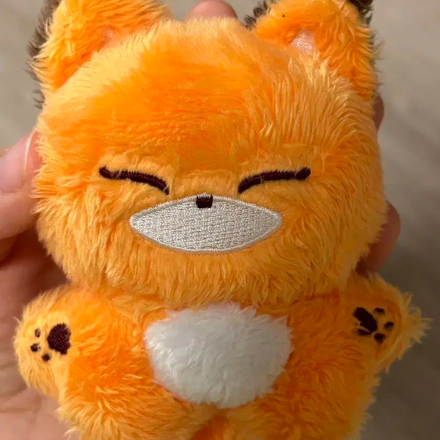 원어스 콩떡어스 서콩이 양도