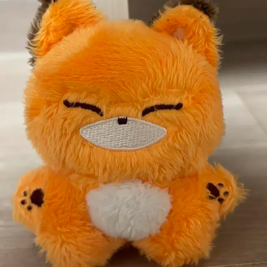 원어스 콩떡어스 서콩이 양도