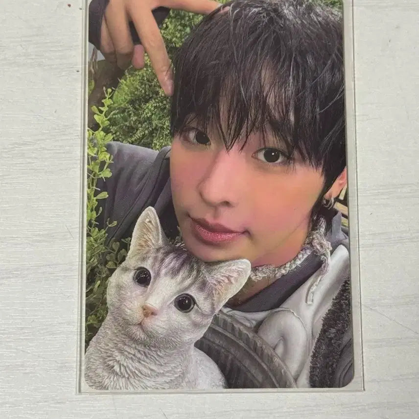 엔시티위시 리쿠 포카양도